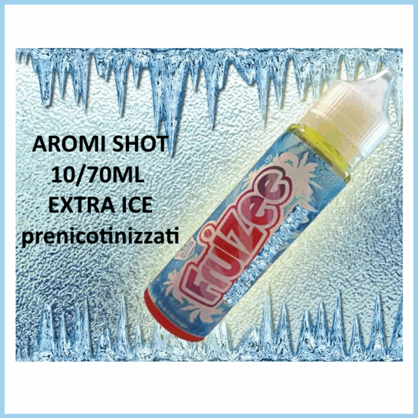 Aroma prenicotinizzato Shot 10 ml in 70 ml FRUIZEE